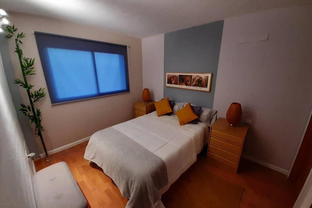 Apartamento Moderno Timanfaya 圣克鲁斯-德特内里费 外观 照片